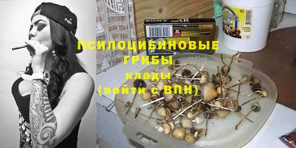 прущая мука Аркадак