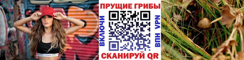 Псилоцибиновые грибы Magic Shrooms  даркнет сайт  Слободской 